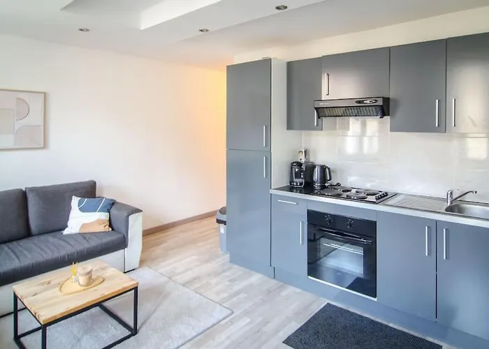 Apartamento T2 à Deux Pas De La Célèbre Place Stanislas